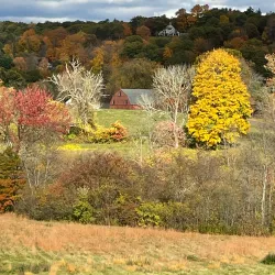 Hill-Stead Museum - Farmington