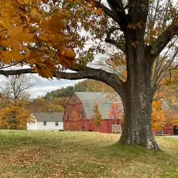 Hill-Stead Museum - Farmington