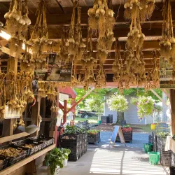 Granby Farmers Market - Granby