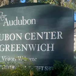Audubon Center in Greenwich - Greenwich