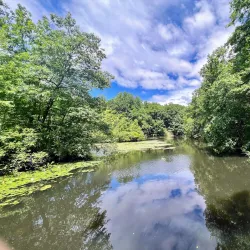 Audubon Center in Greenwich - Greenwich