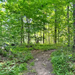 Audubon Center in Greenwich - Greenwich