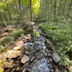 Audubon Center in Greenwich - Greenwich