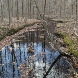 Audubon Center in Greenwich - Greenwich
