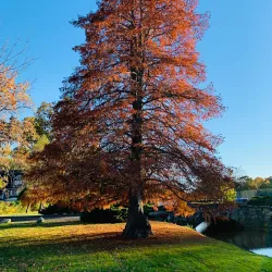 Binney Park - Greenwich