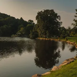 Binney Park - Greenwich