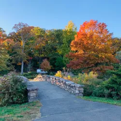 Binney Park - Greenwich