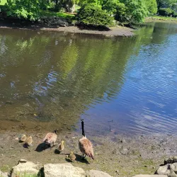 Binney Park - Greenwich