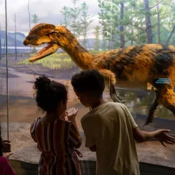 Bruce Museum - Greenwich