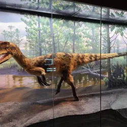 Bruce Museum - Greenwich