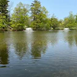 Elizabeth Park Rose Garden - Greenwich