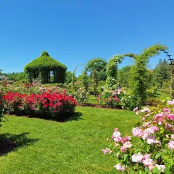 Elizabeth Park Rose Garden - Greenwich