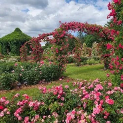 Elizabeth Park Rose Garden - Greenwich