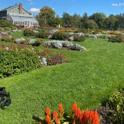 Elizabeth Park Rose Garden - Greenwich