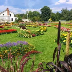 Elizabeth Park Rose Garden - Greenwich