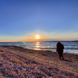 Greenwich Point Park (Tod's Point) - Greenwich