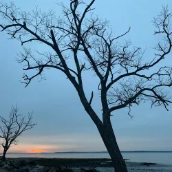 Greenwich Point Park (Tod's Point) - Greenwich