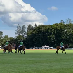 Greenwich Polo Club - Greenwich