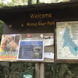 Mianus River Park - Greenwich