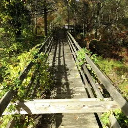 Mianus River Park - Greenwich