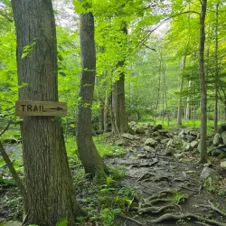 Mianus River Park - Greenwich