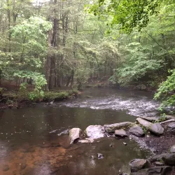 Mianus River Park - Greenwich