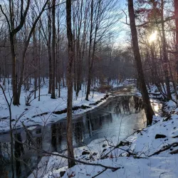 Mianus River Park - Greenwich