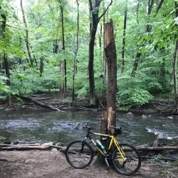 Mianus River Park - Greenwich
