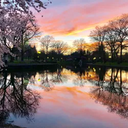 Bushnell Park - Hartford