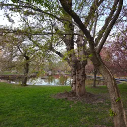 Bushnell Park - Hartford