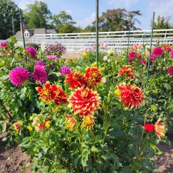 Elizabeth Park Conservancy - Hartford