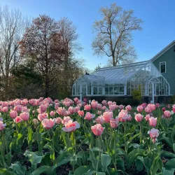 Elizabeth Park Conservancy - Hartford