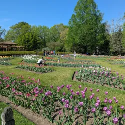 Elizabeth Park Conservancy - Hartford