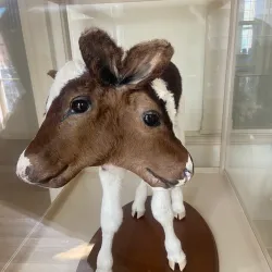 Old State House - Hartford