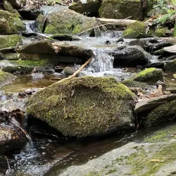 Fenton River Preserve - Mansfield