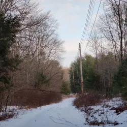 Fenton River Preserve - Mansfield