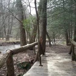 Fenton River Preserve - Mansfield