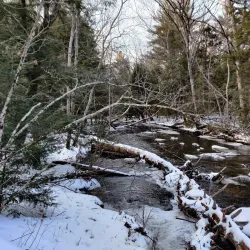 Fenton River Preserve - Mansfield