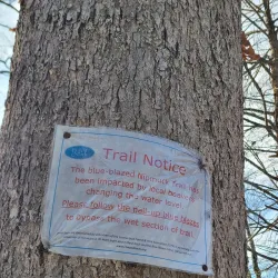 Fenton River Preserve - Mansfield