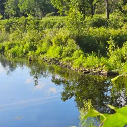Fenton River Preserve - Mansfield