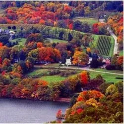 Hopkins Vineyard - Mansfield