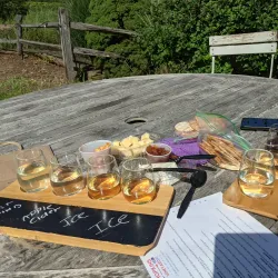 Hopkins Vineyard - Mansfield