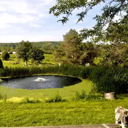 Hopkins Vineyard - Mansfield