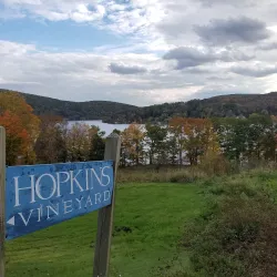 Hopkins Vineyard - Mansfield