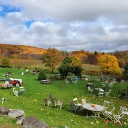 Hopkins Vineyard - Mansfield