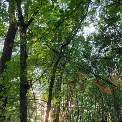 Mansfield Center Historic District - Mansfield