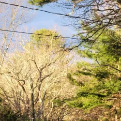 Mansfield Center Historic District - Mansfield