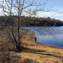 Mansfield Hollow State Park - Mansfield