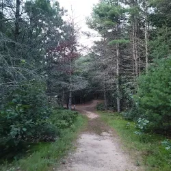 Mansfield Hollow State Park - Mansfield