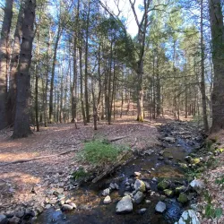 The Gurleyville Gristmill - Mansfield